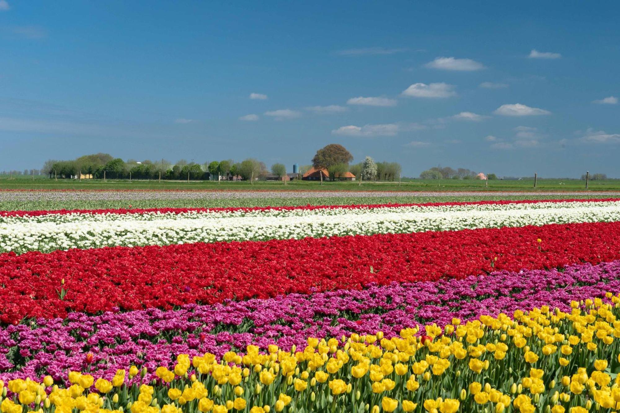 Camping Het Bosbad Emmeloord Esterno foto
